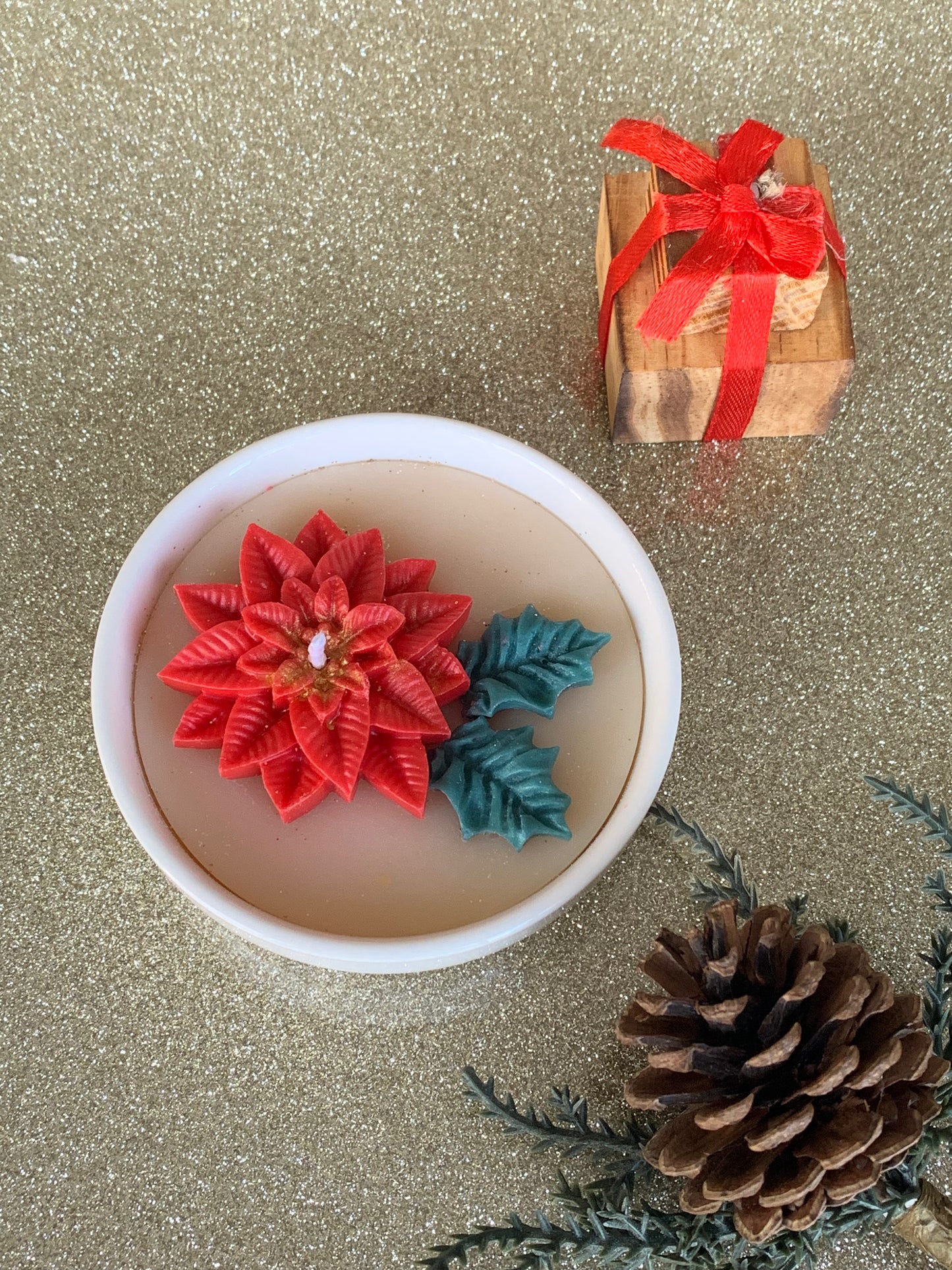 Poinsettia in a white bowl - Christmas Edition