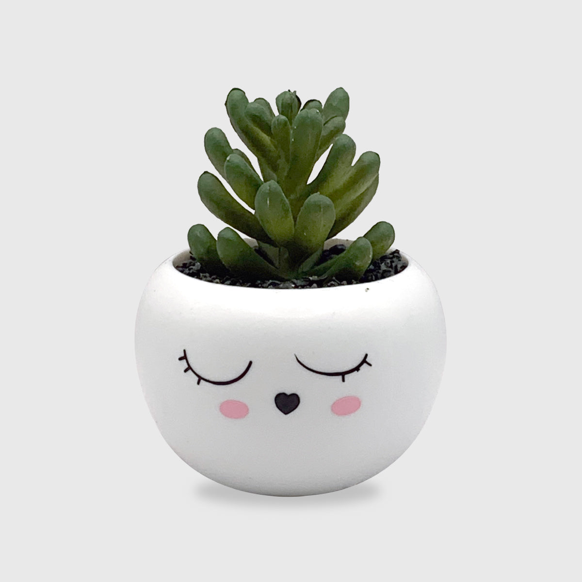 twisty succulent Cute Face Artificial Succulent – Twist and Bright