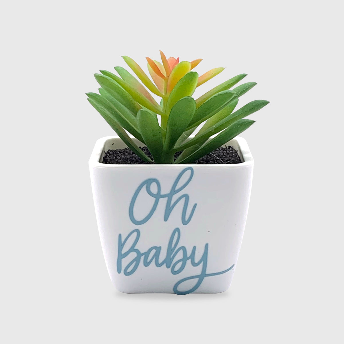 artificial succulent set Oh Baby Artificial Succulent (Set of 10)