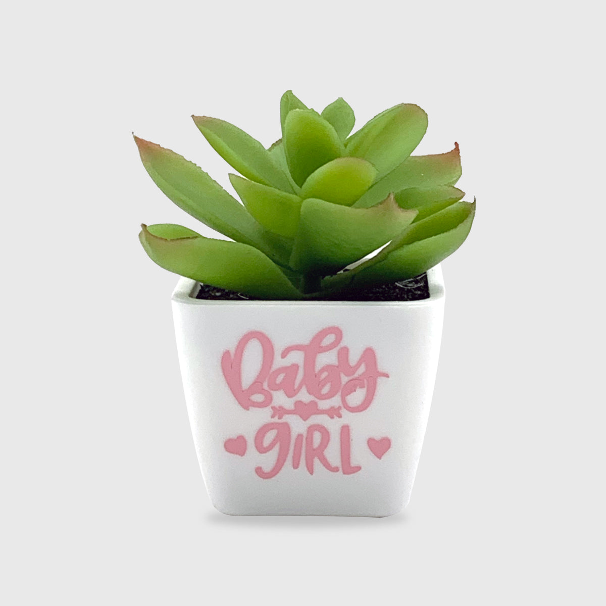 Baby Girl Artificial Succulent (Set of 10)