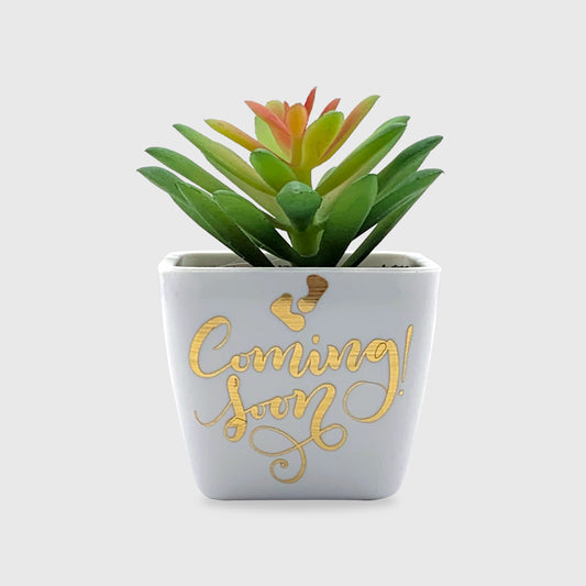 Coming Soon Artificial Succulent (Set of 10)