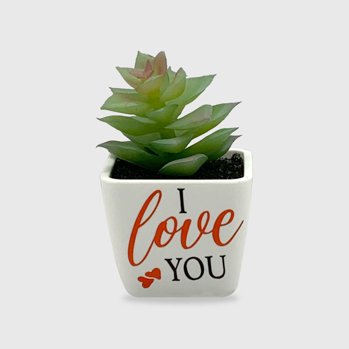 I Love You Artificial Succulent