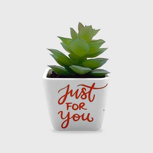 Just For You Artificial Succulent