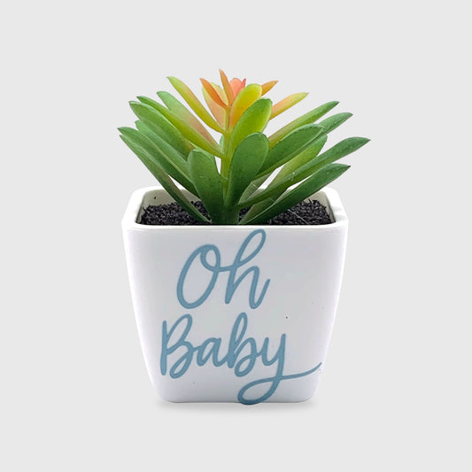 Oh Baby Artificial Succulent (Set of 10)