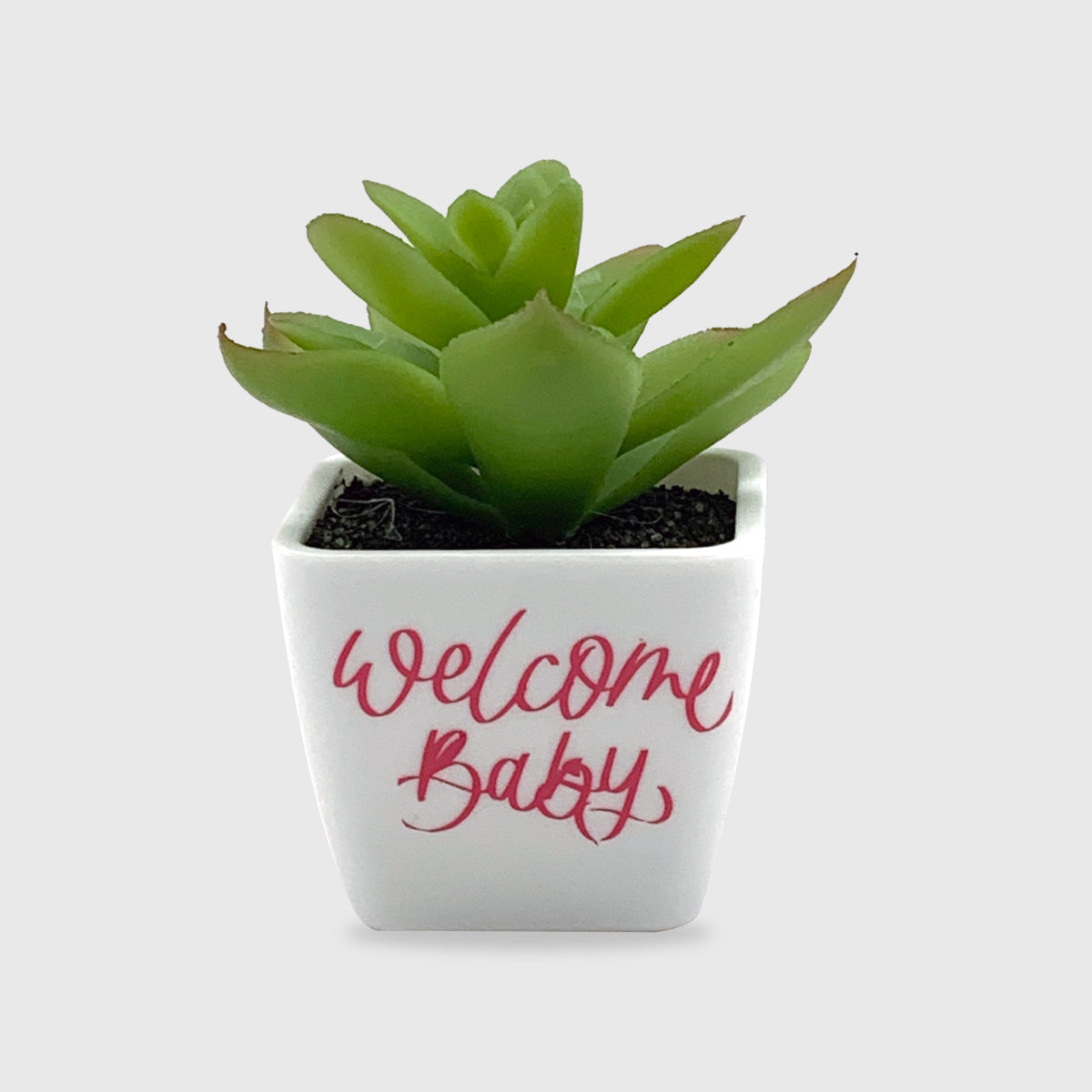 Welcome Baby Artificial Succulent (Set of 10)